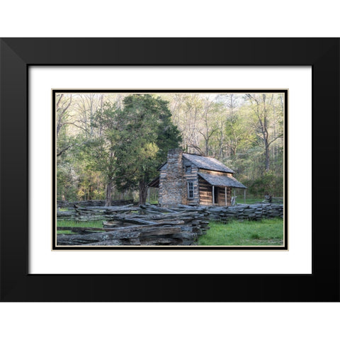 The Cabin II Black Modern Wood Framed Art Print with Double Matting by Head, Danny