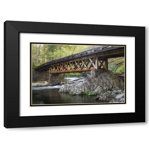 Rusty Bridge Black Modern Wood Framed Art Print with Double Matting by Head, Danny