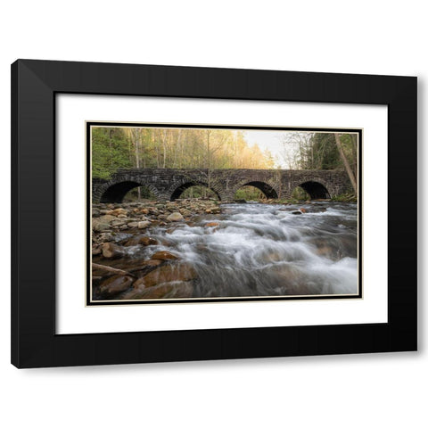 Four Arches Black Modern Wood Framed Art Print with Double Matting by Head, Danny