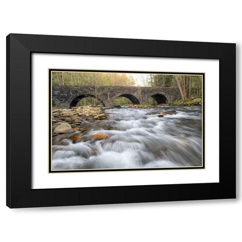 Stone Bridge Black Modern Wood Framed Art Print with Double Matting by Head, Danny