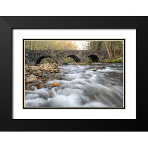 Stone Bridge Black Modern Wood Framed Art Print with Double Matting by Head, Danny