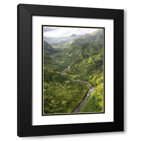 Hanalei Valley I Black Modern Wood Framed Art Print with Double Matting by Head, Danny