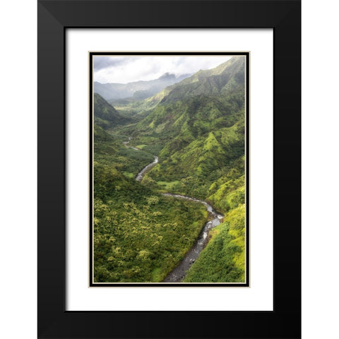 Hanalei Valley I Black Modern Wood Framed Art Print with Double Matting by Head, Danny