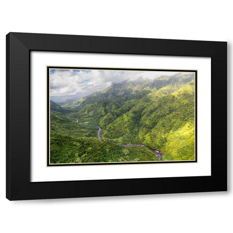 Hanalei Valley II Black Modern Wood Framed Art Print with Double Matting by Head, Danny