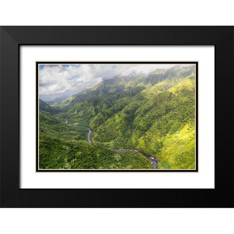 Hanalei Valley II Black Modern Wood Framed Art Print with Double Matting by Head, Danny