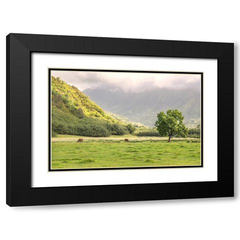 Kauai Grazing Black Modern Wood Framed Art Print with Double Matting by Head, Danny
