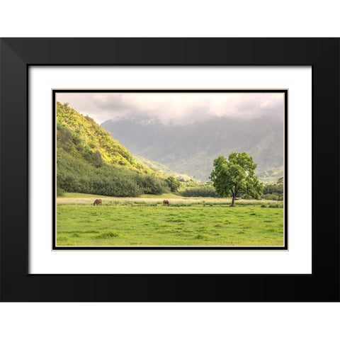 Kauai Grazing Black Modern Wood Framed Art Print with Double Matting by Head, Danny