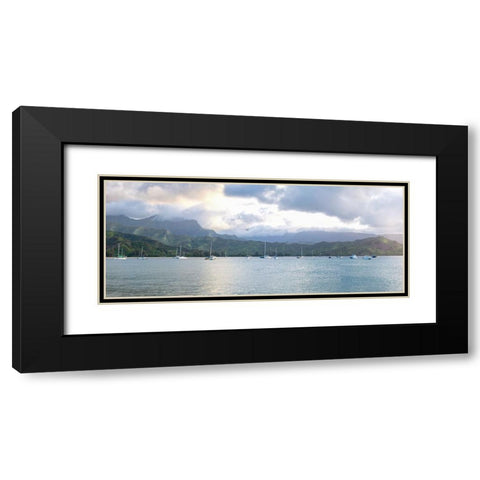 Hanalei Pano I Black Modern Wood Framed Art Print with Double Matting by Head, Danny