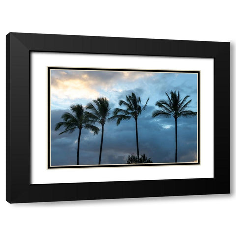 Palm Silhouette I Black Modern Wood Framed Art Print with Double Matting by Head, Danny