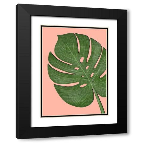 Exotic Leaf One Black Modern Wood Framed Art Print with Double Matting by Aesthete