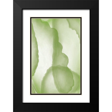 Green Paper Two Black Modern Wood Framed Art Print with Double Matting by Aesthete