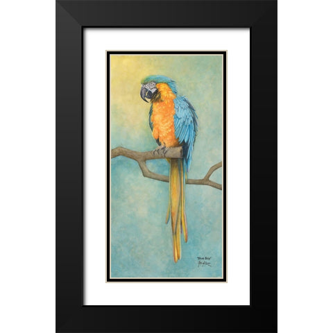 Macaw- Blue Boy Black Modern Wood Framed Art Print with Double Matting by Rizzo, Gene