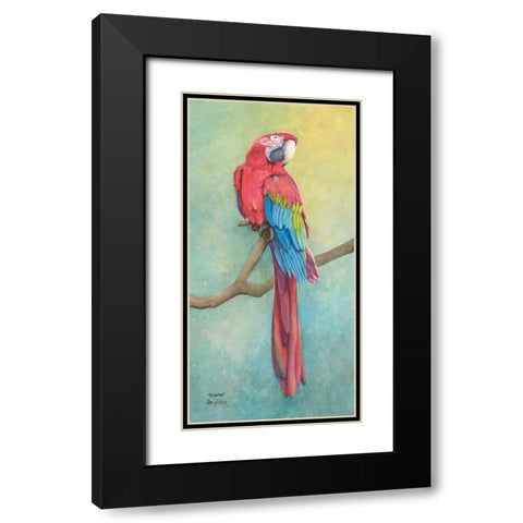 Macaw-Scarlet Black Modern Wood Framed Art Print with Double Matting by Rizzo, Gene