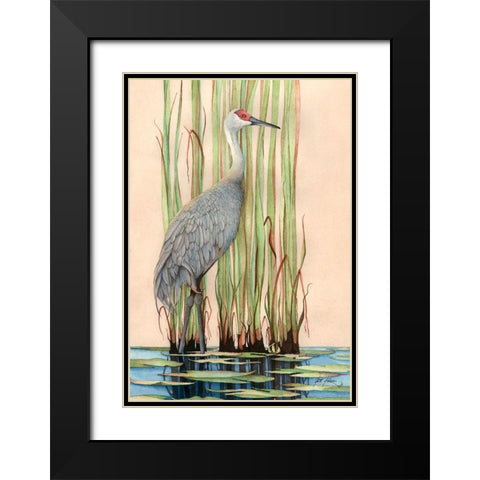 Sandhill Crane Black Modern Wood Framed Art Print with Double Matting by Rizzo, Gene