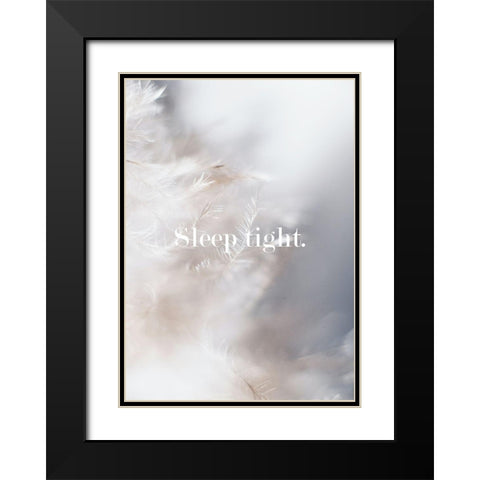 Sleep Tight Feathers Black Modern Wood Framed Art Print with Double Matting by Mi, Suki