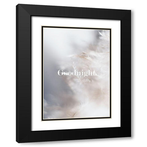 Goodnight Feathers Black Modern Wood Framed Art Print with Double Matting by Mi, Suki