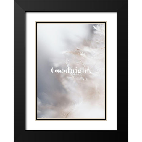 Goodnight Feathers Black Modern Wood Framed Art Print with Double Matting by Mi, Suki