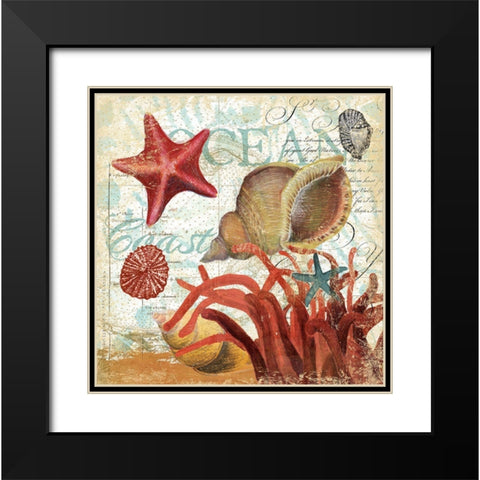 Shell Collector 1I Black Modern Wood Framed Art Print with Double Matting by Art Licensing Studio