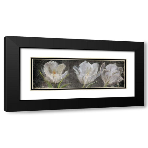 Tulip Triolet Black Modern Wood Framed Art Print with Double Matting by Art Licensing Studio