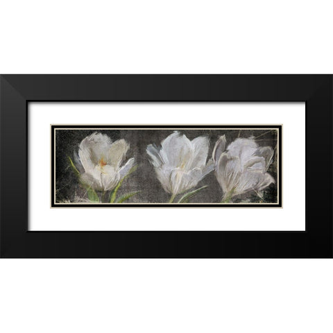 Tulip Triolet Black Modern Wood Framed Art Print with Double Matting by Art Licensing Studio