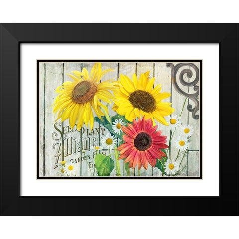 Farm Seed Sunflowers Black Modern Wood Framed Art Print with Double Matting by Art Licensing Studio