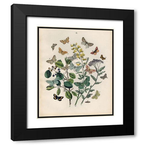 Papillion - Butterflies Black Modern Wood Framed Art Print with Double Matting by Art Licensing Studio