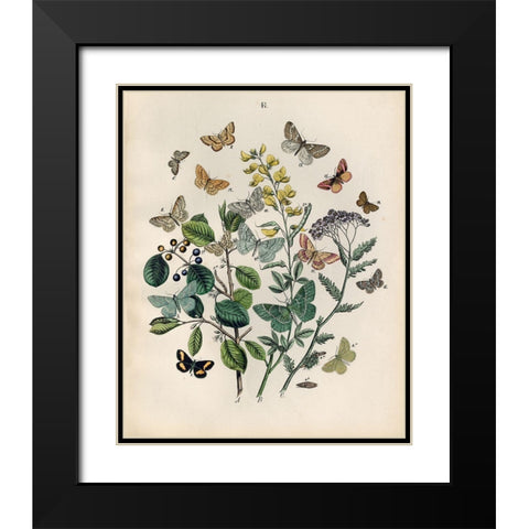 Papillion - Butterflies Black Modern Wood Framed Art Print with Double Matting by Art Licensing Studio