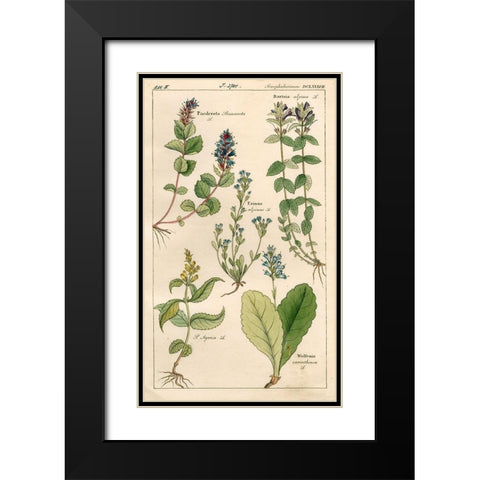 Scrophularineae Black Modern Wood Framed Art Print with Double Matting by Art Licensing Studio