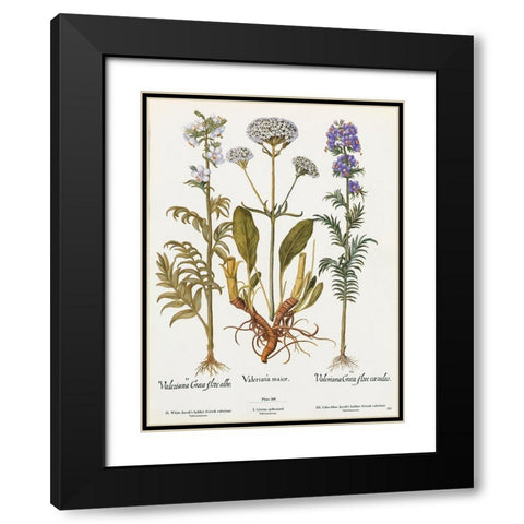 Valeriana Black Modern Wood Framed Art Print with Double Matting by Art Licensing Studio