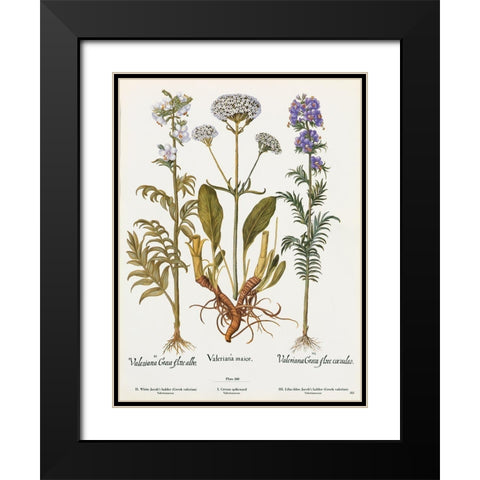Valeriana Black Modern Wood Framed Art Print with Double Matting by Art Licensing Studio