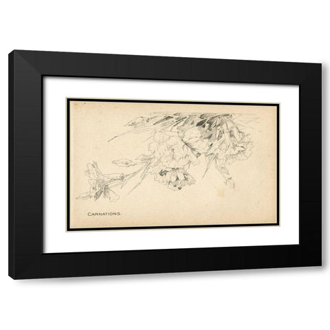 Carnations Black Modern Wood Framed Art Print with Double Matting by Art Licensing Studio