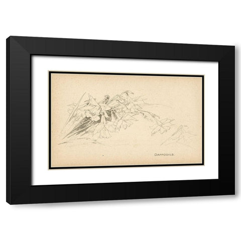 Daffodils Black Modern Wood Framed Art Print with Double Matting by Art Licensing Studio