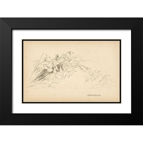 Daffodils Black Modern Wood Framed Art Print with Double Matting by Art Licensing Studio