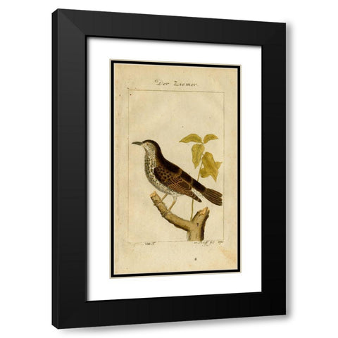 Der Ziemer Black Modern Wood Framed Art Print with Double Matting by Art Licensing Studio