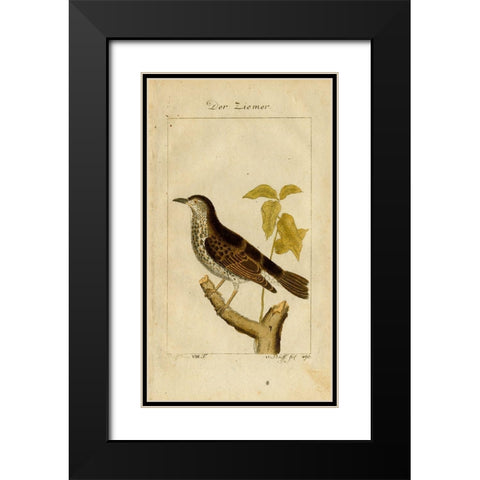 Der Ziemer Black Modern Wood Framed Art Print with Double Matting by Art Licensing Studio