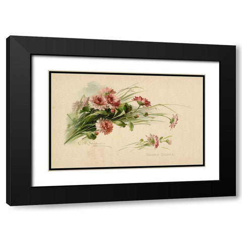 Double Daisies Color Black Modern Wood Framed Art Print with Double Matting by Art Licensing Studio