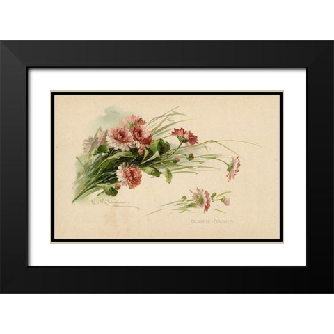 Double Daisies Color Black Modern Wood Framed Art Print with Double Matting by Art Licensing Studio