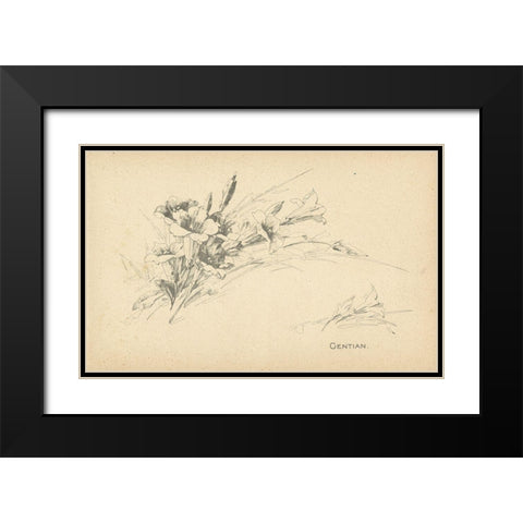 Gentian Black Modern Wood Framed Art Print with Double Matting by Art Licensing Studio