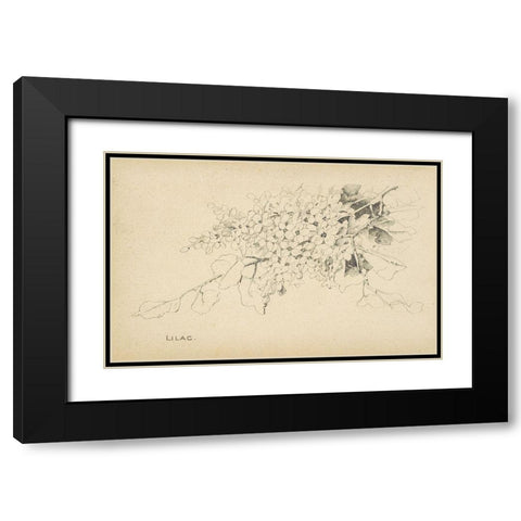 Lilac Black Modern Wood Framed Art Print with Double Matting by Art Licensing Studio