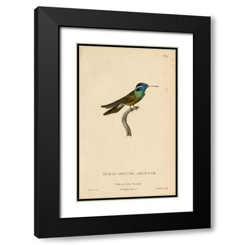 Oiseau-Mouche Arsenne Black Modern Wood Framed Art Print with Double Matting by Art Licensing Studio