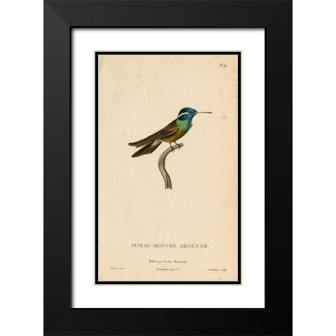 Oiseau-Mouche Arsenne Black Modern Wood Framed Art Print with Double Matting by Art Licensing Studio