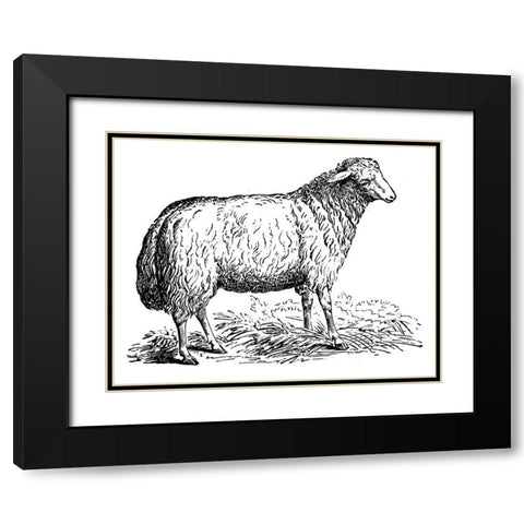 Ewe Black Modern Wood Framed Art Print with Double Matting by Art Licensing Studio