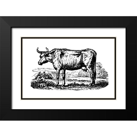 Horned Cow Black Modern Wood Framed Art Print with Double Matting by Art Licensing Studio