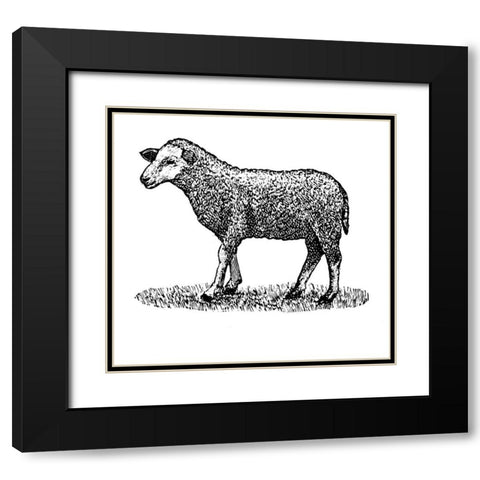 Little Ewe Black Modern Wood Framed Art Print with Double Matting by Art Licensing Studio