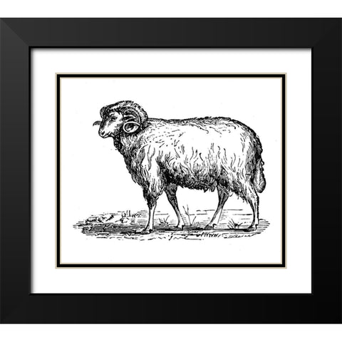 Mr Ram Black Modern Wood Framed Art Print with Double Matting by Art Licensing Studio