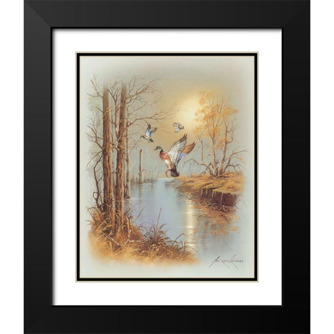 Ducks B Black Modern Wood Framed Art Print with Double Matting by Orpinas, Andres