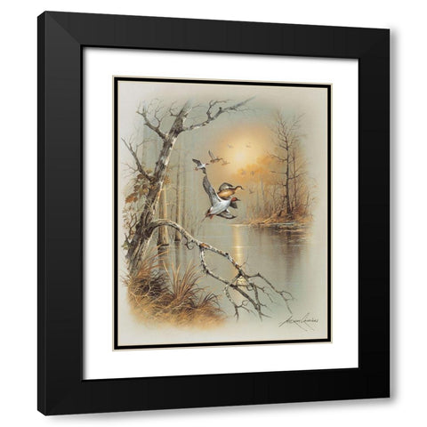 Ducks C Black Modern Wood Framed Art Print with Double Matting by Orpinas, Andres