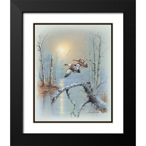 Ducks D Black Modern Wood Framed Art Print with Double Matting by Orpinas, Andres