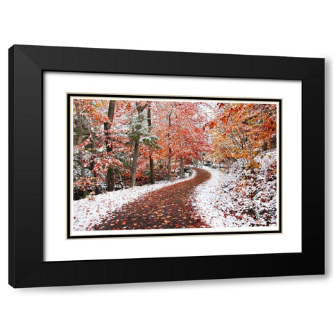 2 Seasons Black Modern Wood Framed Art Print with Double Matting by Heine, Ben