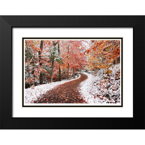 2 Seasons Black Modern Wood Framed Art Print with Double Matting by Heine, Ben